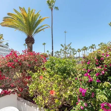 Altamira 73 - One Bed Costa Adeje (Tenerife)